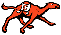 Campbell Fighting Camels Women's Basketball